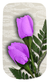 DAROYAL-052 2 Roses Lavender